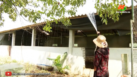 Hướng dẫn ph&ograve;ng chống nắng n&oacute;ng cho đ&agrave;n vật nu&ocirc;i