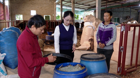 Sản xuất n&ocirc;ng nghiệp giảm ph&aacute;t thải