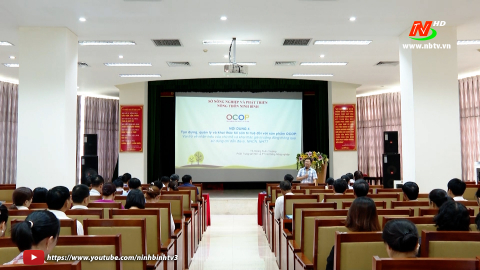 Tập huấn về ph&aacute;t triển thương hiệu, sở hữu tr&iacute; tuệ đối với sản phẩm OCOP