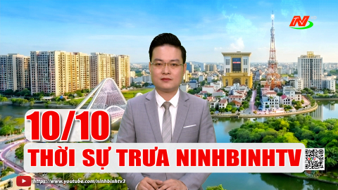Thời sự Trưa NinhBinhTV -  10/10/2026