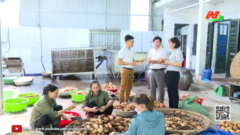 Nhiều giải ph&aacute;p trong x&acirc;y dựng v&agrave; ph&aacute;t triển sản phẩm OCOP