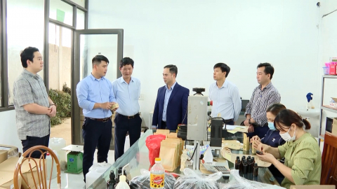 Nghị định 113 của Ch&iacute;nh phủ quy định chi tiết một số Điều của Luật Hợp t&aacute;c x&atilde;