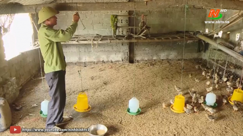 Hội cựu chiến binh Y&ecirc;n Th&aacute;i chăm lo, n&acirc;ng cao đời sống cho hội vi&ecirc;n