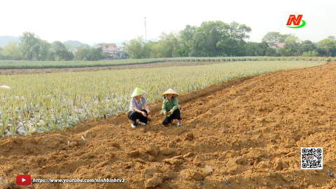 Sử dụng hiệu quả t&agrave;i nguy&ecirc;n đất n&ocirc;ng nghiệp
