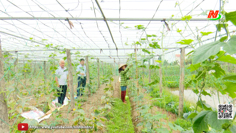 Kh&aacute;nh Th&agrave;nh ph&aacute;t triển c&aacute;c c&acirc;y trồng chủ lực
