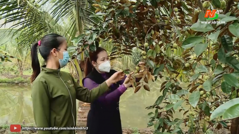 Phụ nữ Y&ecirc;n L&acirc;m gi&uacute;p nhau ph&aacute;t triển kinh tế