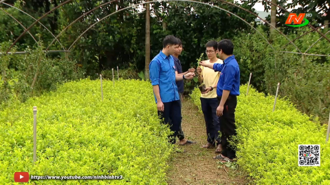 Thanh ni&ecirc;n điển h&igrave;nh trong phong tr&agrave;o thi đua y&ecirc;u nước