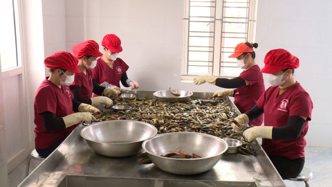 Lươn Lưu Gia - T&aacute;i sinh t&agrave;i nguy&ecirc;n bản địa kiến tạo kinh tế xanh