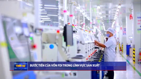 Thời sự Trưa NinhBinhTV - 18/8/2025