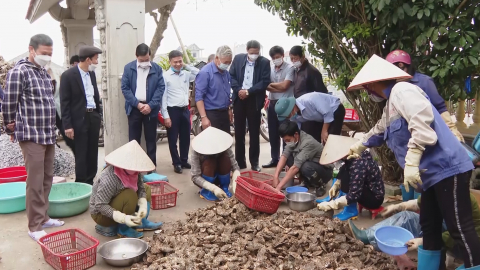 Kim Sơn ph&aacute;t triển đa dạng c&aacute;c m&ocirc; h&igrave;nh kinh tế