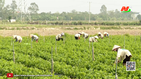 C&aacute;c cấp hội N&ocirc;ng d&acirc;n trong tỉnh gi&uacute;p hội vi&ecirc;n ph&aacute;t triển kinh tế