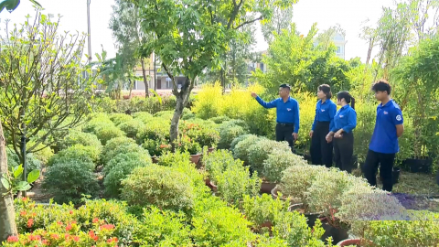 Kh&aacute;t vọng l&agrave;m gi&agrave;u tr&ecirc;n qu&ecirc; hương