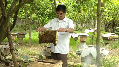 Những m&ocirc; h&igrave;nh kinh tế của đồng b&agrave;o d&acirc;n tộc thiểu số tại phường Y&ecirc;n Sơn