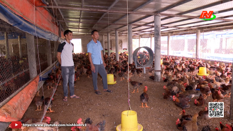 Đẩy mạnh li&ecirc;n kết theo m&ocirc; h&igrave;nh hợp t&aacute;c x&atilde;