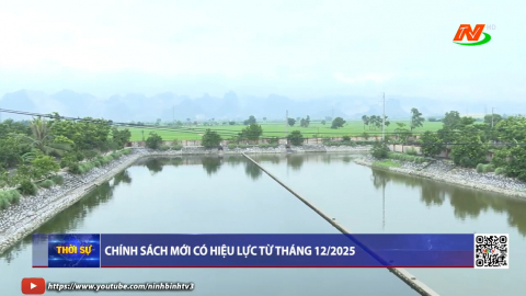 Thời sự Trưa NinhBinhTV - 01/12/2025