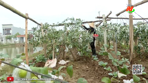 Y&ecirc;n Kh&aacute;nh n&acirc;ng cao gi&aacute; trị tr&ecirc;n h&eacute;c ta đất canh t&aacute;c