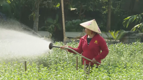 Thạch B&igrave;nh t&iacute;ch cực chuyển đổi cơ cấu c&acirc;y trồng