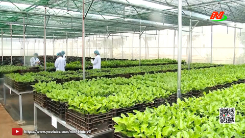 Ng&agrave;nh N&ocirc;ng nghiệp tăng tốc để về đ&iacute;ch sớm