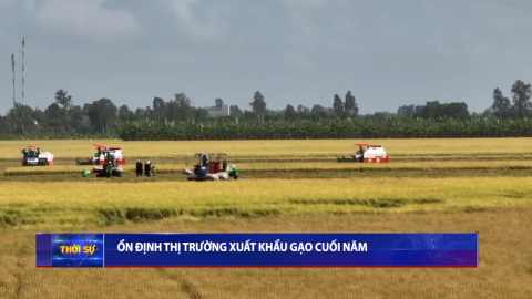 Thời sự Trưa NinhBinhTV - 15/9/2025