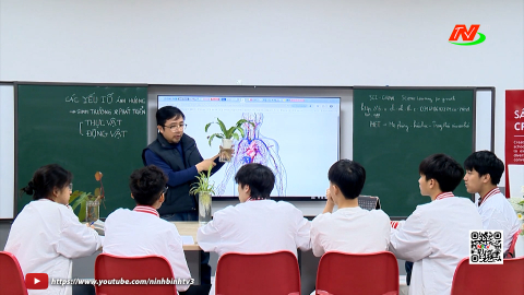 Gi&aacute;o dục Stem trong c&aacute;c nh&agrave; trường