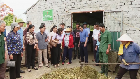 Hiệu quả m&ocirc; h&igrave;nh l&ecirc;n men phụ phẩm c&acirc;y trồng l&agrave;m thức ăn chăn nu&ocirc;i