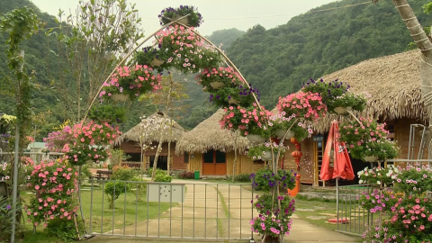 Khai th&aacute;c lợi thế du lịch xanh để k&iacute;ch cầu thị trường trở lại