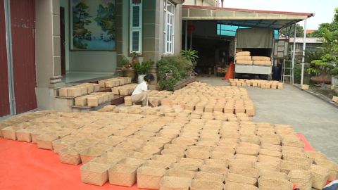 Hướng đi mới cho nghề đan c&oacute;i