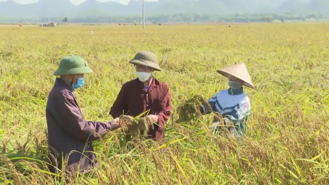 Hiệu quả từ một đề t&agrave;i khoa học