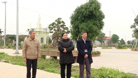 Xu&acirc;n tr&ecirc;n xứ đạo Kim Đ&ocirc;ng