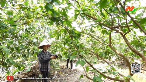 Sản xuất n&ocirc;ng nghiệp Vietgap