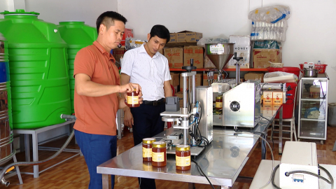 B&igrave;nh Minh n&acirc;ng cao thu nhập cho người d&acirc;n