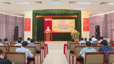 Phổ biến kiến thức về kinh tế tập thể