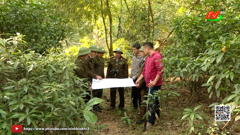 Chủ động ph&ograve;ng ch&aacute;y, chữa ch&aacute;y rừng m&ugrave;a hanh kh&ocirc;