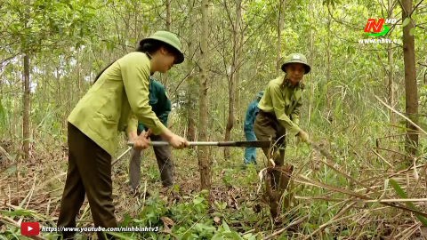 Biện ph&aacute;p, kỹ thuật ph&ograve;ng ,chống ch&aacute;y rừng