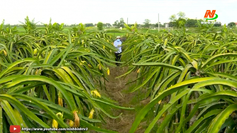 Giải ph&aacute;p n&acirc;ng cao thu nhập ở Kh&aacute;nh Ti&ecirc;n