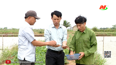 Kim Đ&ocirc;ng ph&aacute;t triển kinh tế thủy sản gắn với bảo vệ v&agrave; t&aacute;i tạo nguồn lợi