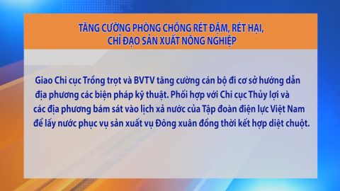 Tăng cường ph&ograve;ng chống r&eacute;t đậm, r&eacute;t hại, chỉ đạo sản xuất n&ocirc;ng nghiệp
