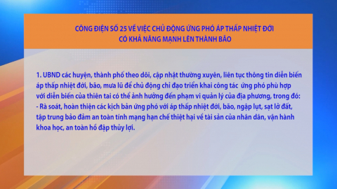 C&ocirc;ng điện số 25 của Chủ tịch UBND tỉnh Ninh B&igrave;nh về việc chủ động ứng ph&oacute; &aacute;p thấp nhiệt đới c&oacute; khả năng mạnh l&ecirc;n th&agrave;nh b&atilde;o
