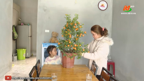 Xu&acirc;n về trong những ng&ocirc;i nh&agrave; ấm t&igrave;nh đo&agrave;n kết