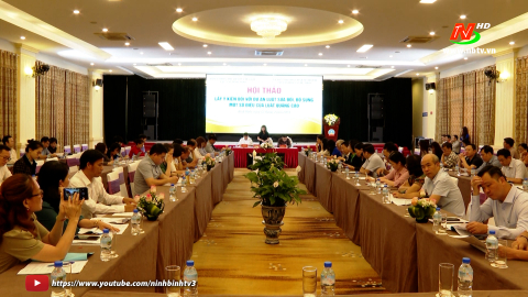 Hội thảo lấy &yacute; kiến đối với Dự &aacute;n Luật sửa đổi, bổ sung một số điều của Luật Quảng c&aacute;o