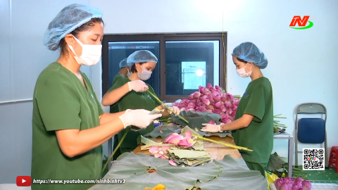 Ph&aacute;t triển thương hiệu sản phẩm OCOP Ninh B&igrave;nh