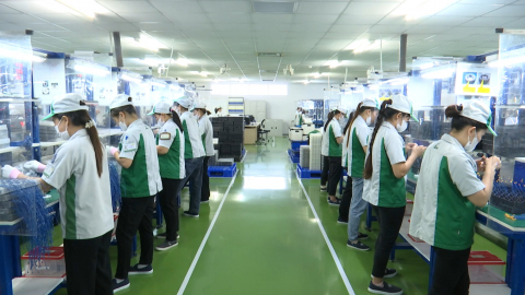 Kh&ocirc;ng kh&iacute; hăng say lao động, sản xuất ch&agrave;o mừng th&agrave;nh c&ocirc;ng Đại hội đại biểu Đảng bộ tỉnh