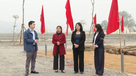 S&aacute;ng - Xanh - Sạch - Đẹp đ&oacute;n xu&acirc;n mới 2026