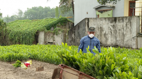 Đảm bảo nguồn c&acirc;y giống cho vụ trồng rừng năm 2022