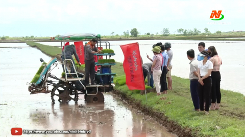 Hội nghị sản xuất l&uacute;a theo chuỗi gi&aacute; trị đồng bộ v&agrave; tr&igrave;nh diễn mạ khay, m&aacute;y cấy