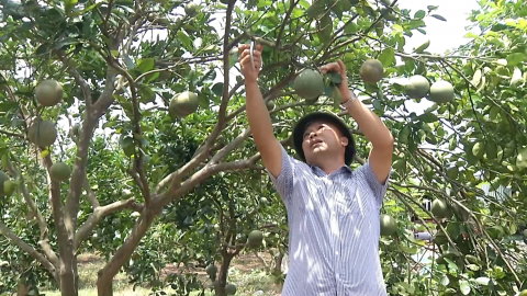 Trần Thương khơi dậy tiềm năng ph&aacute;t triển sau s&aacute;t nhập