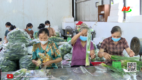 Vĩnh Trụ ph&aacute;t huy vai tr&ograve; hạt nh&acirc;n của c&aacute;c HTX trong ph&aacute;t triển kinh tế