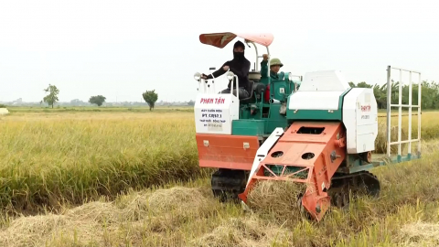 Ph&aacute;t triển kinh tế từ m&ocirc; h&igrave;nh dịch vụ m&aacute;y n&ocirc;ng nghiệp