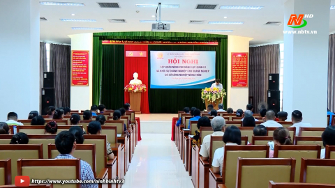 Tập huấn n&acirc;ng cao năng lực quản l&yacute; v&agrave; khởi sự Doanh nghiệp