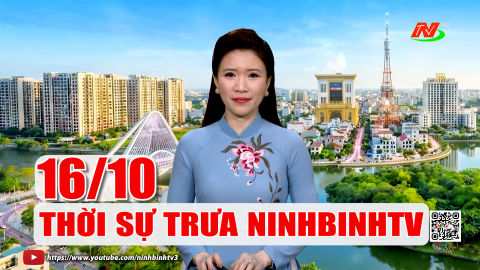 Thời sự Trưa NinhBinhTV - 16/10/2026